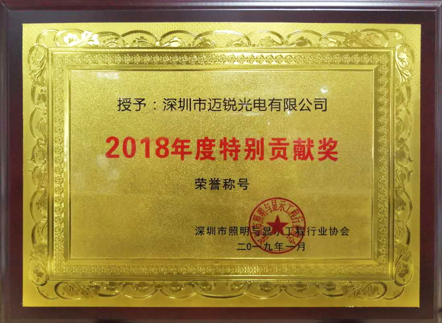 lewin乐玩光电喜获“2018年度特别贡献奖”.jpg